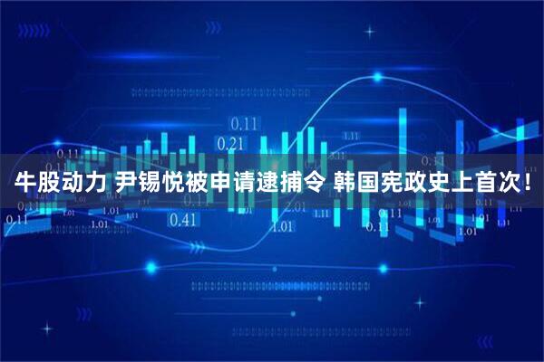 牛股动力 尹锡悦被申请逮捕令 韩国宪政史上首次！